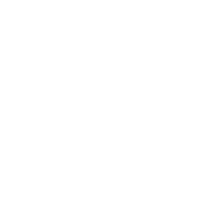 ícono select security